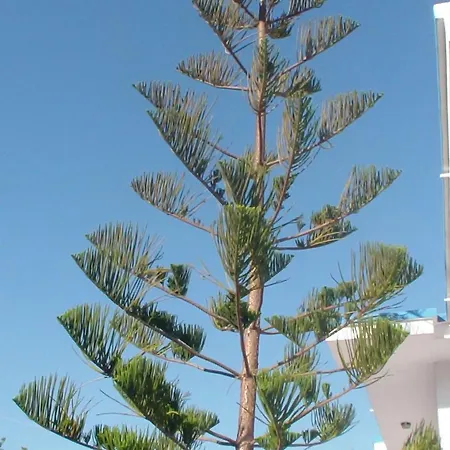 Creta Vassakis Апартаменты *