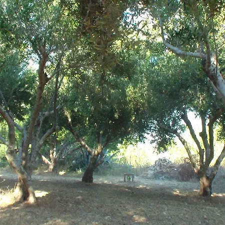 Creta Vassakis Апартаменты *