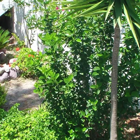 Creta Vassakis * Кефалос