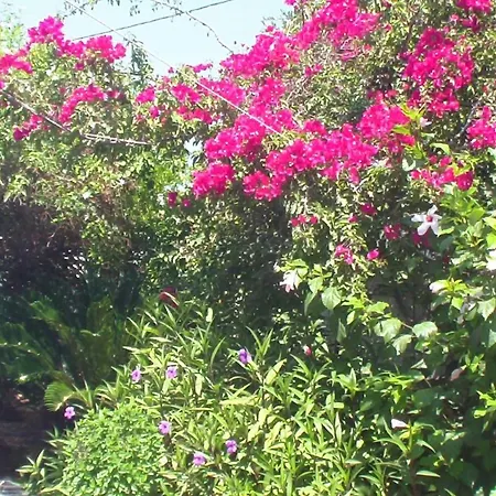 Апартаменты Creta Vassakis *