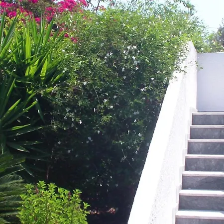 Апартаменты Creta Vassakis *