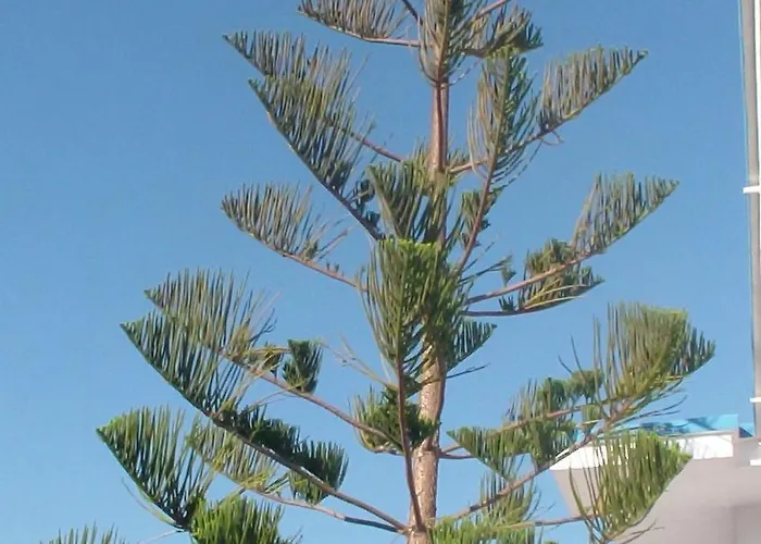 Creta Vassakis Appartement *