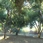 Creta Vassakis Apartament *