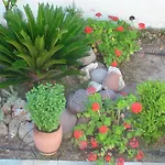 Creta Vassakis Apartament *