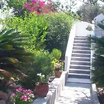 Creta Vassakis *