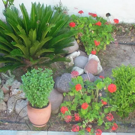 Creta Vassakis Apartmán *