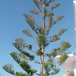 Creta Vassakis Apartman *