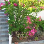 Creta Vassakis