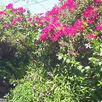 Apartman Creta Vassakis *