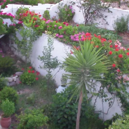 Creta Vassakis * Kefalos (Kos)