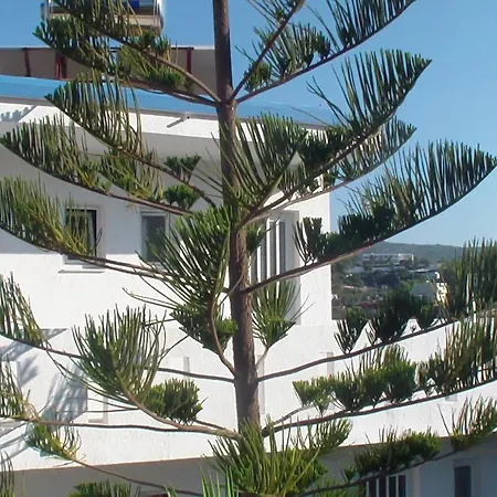 Creta Vassakis