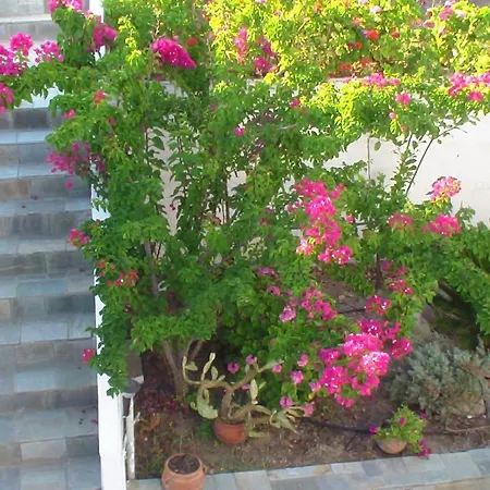 Creta Vassakis