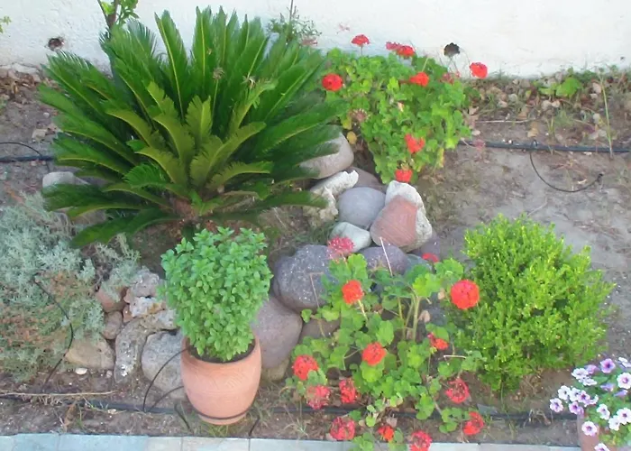 Creta Vassakis Apartamento *