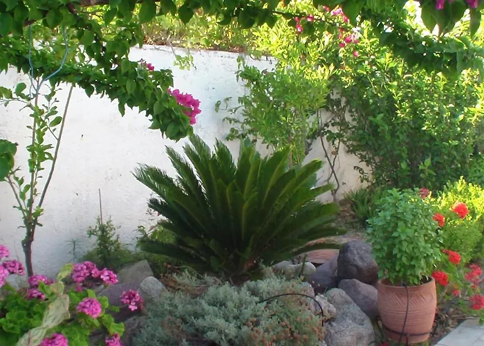 Apartment Creta Vassakis *