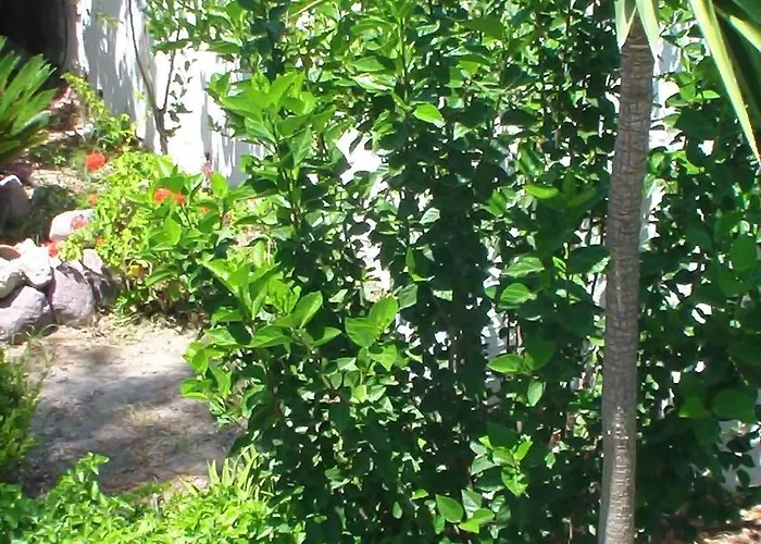 Creta Vassakis * Kéfalos