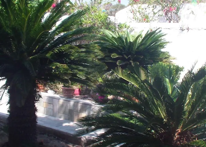 Creta Vassakis Apartment