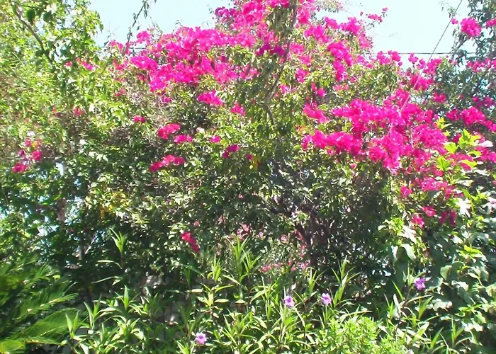 Creta Vassakis Apartamento