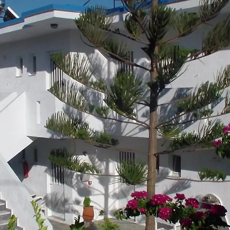 Creta Vassakis * Kéfalos