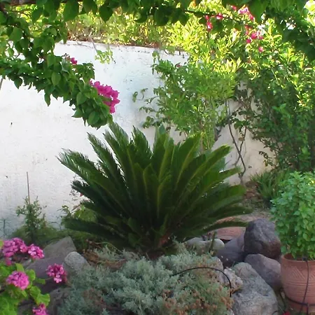 Apartment Creta Vassakis *