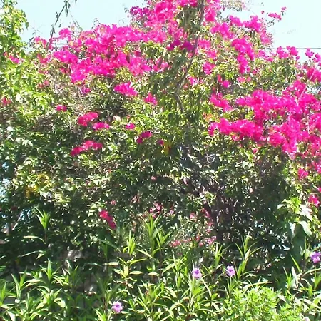 Creta Vassakis Appartamento