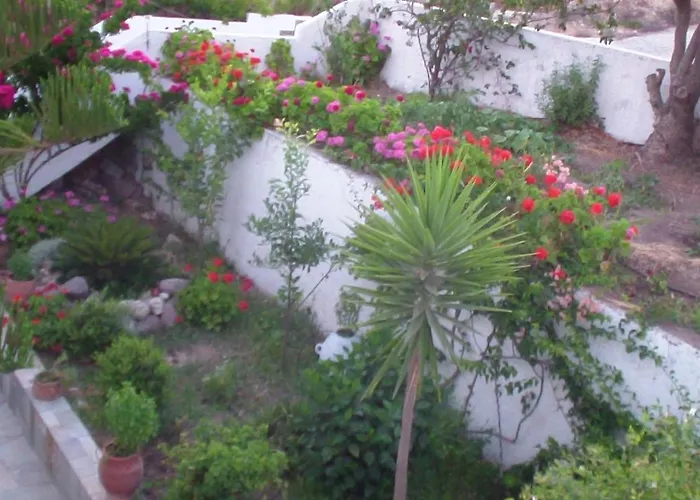 Creta Vassakis * Kéfalos