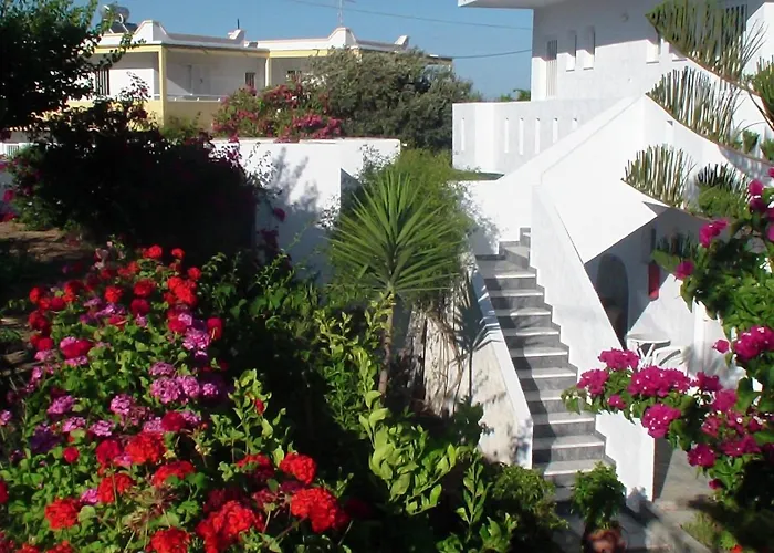 Creta Vassakis * Kéfalos