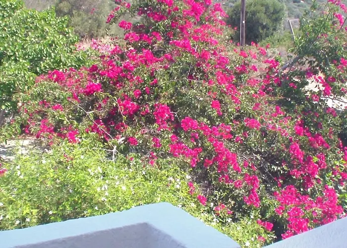 Creta Vassakis * Kéfalos