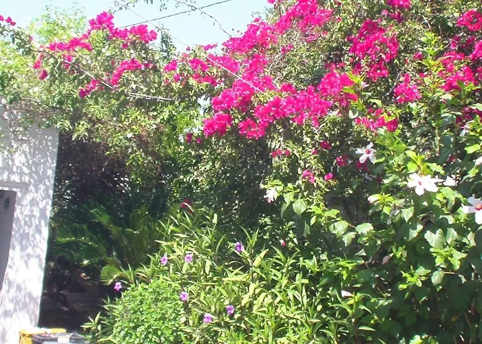 شقة Creta Vassakis *